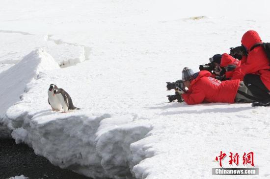 材料图：旅客在南极探险游览刘延珉 摄 图片起源：CFP视觉中国