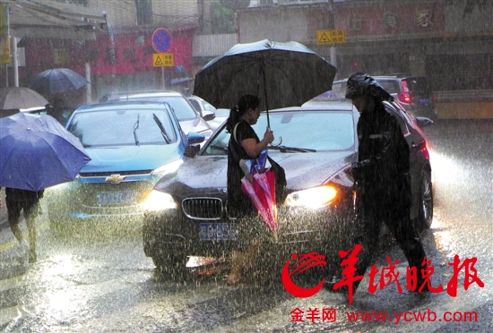 广州昨日暴雨，市平易近出行碰壁。羊城晚报记者郑迅摄
