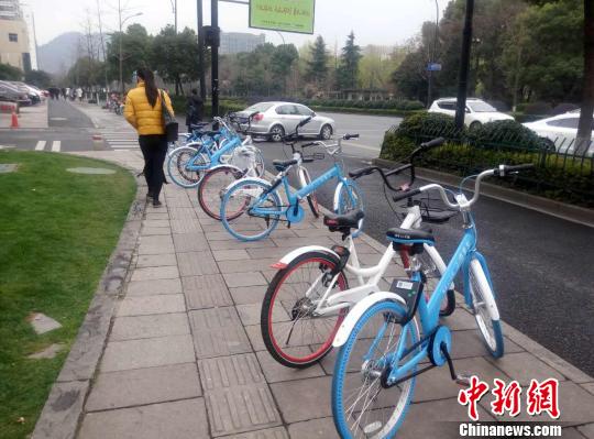 浙江杭州停放在路边的共享单车。　王逸飞　摄