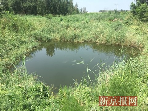  发明李文星遗体的水坑。新京报记者 李明 摄