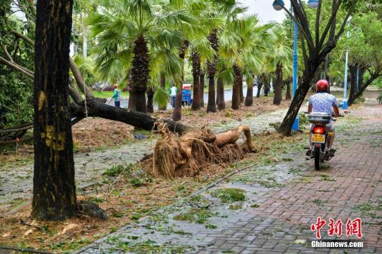 海南局部地域遇台风灾祸 直接丧失近5900万元